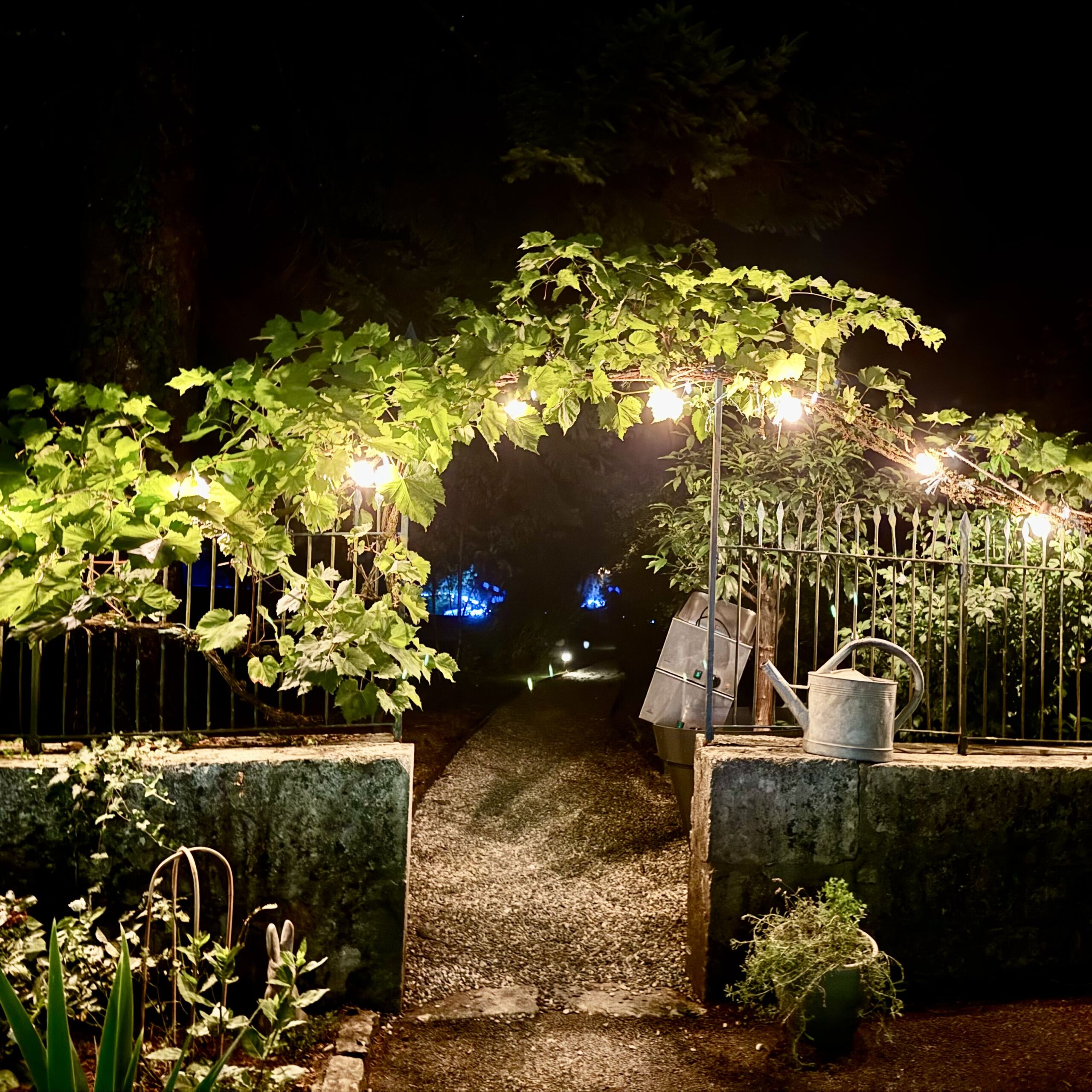 JARDIN- ASTREE -BUGEY - AIN - GITE - SPA -GENEVE -LYON -