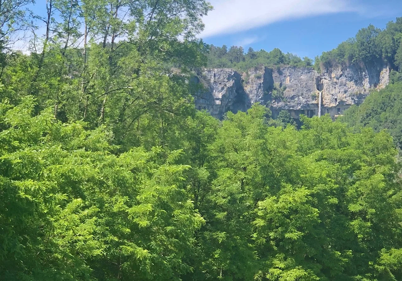 Annecy-Genève-Geneve-Lyon-Bugey-Bugeysud-Ain-France-gites-gite-gîtes-gîte-les gites de sarah et Claude-pet-pet friendly-dog-cat-zen-nature-guest house-vacances-vacance-grand colombier-Le grand colombier-lesgitesdesarahetclaude
