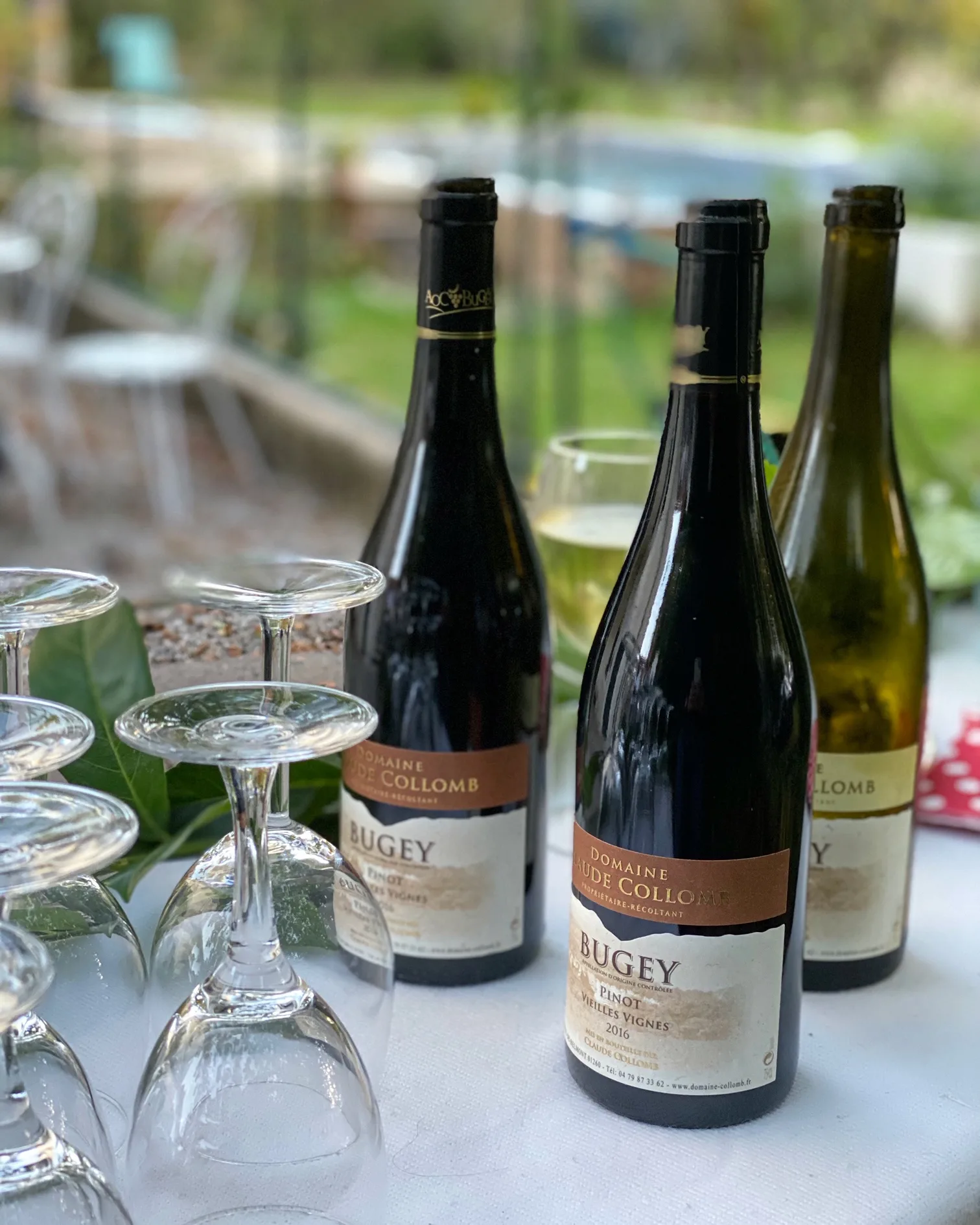 les gites de sarah et claude - gite - ain -bugey