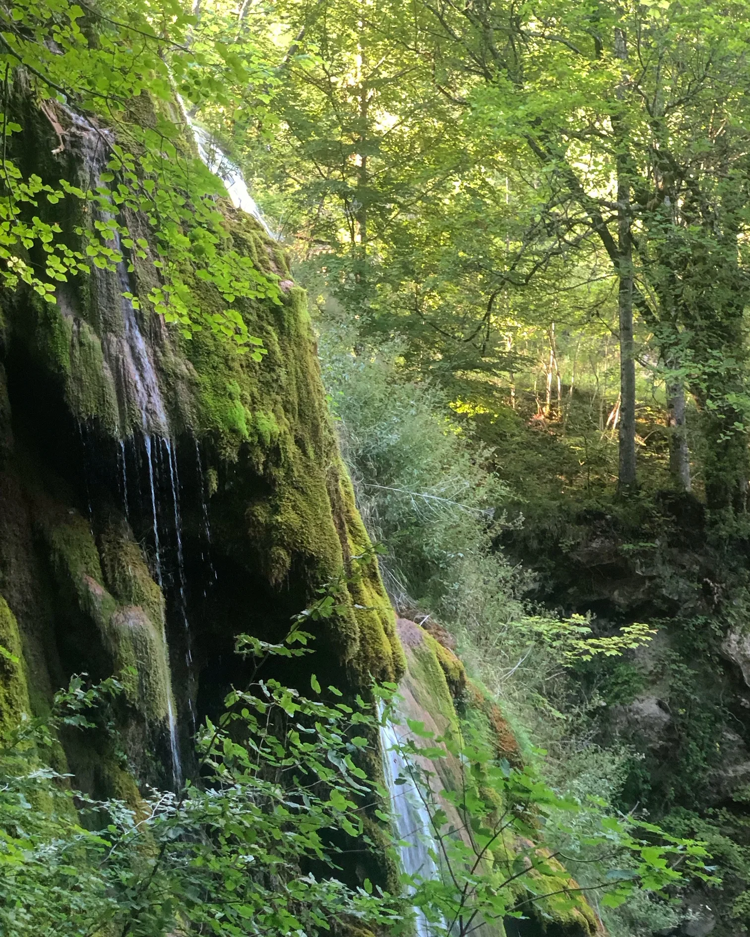 les gites de sarah et claude - gite - ain -bugey