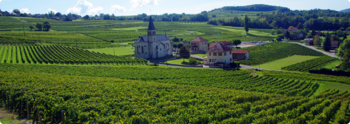 Les caves du Bugey