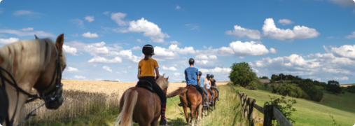 Equitation