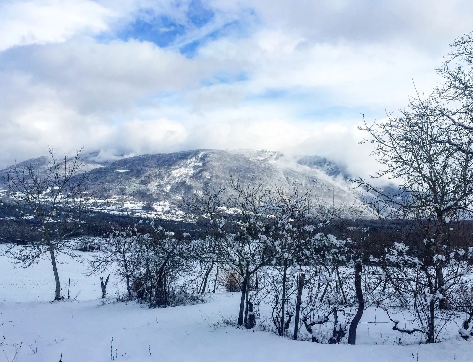 Annecy-Genève-Geneve-Lyon-Bugey-Bugeysud-Ain-France-gites-gite-gîtes-gîte-les gites de sarah et Claude-pet-pet friendly-dog-cat-zen-nature-guest house-vacances-vacance-grand colombier-Le grand colombier-lesgitesdesarahetclaude