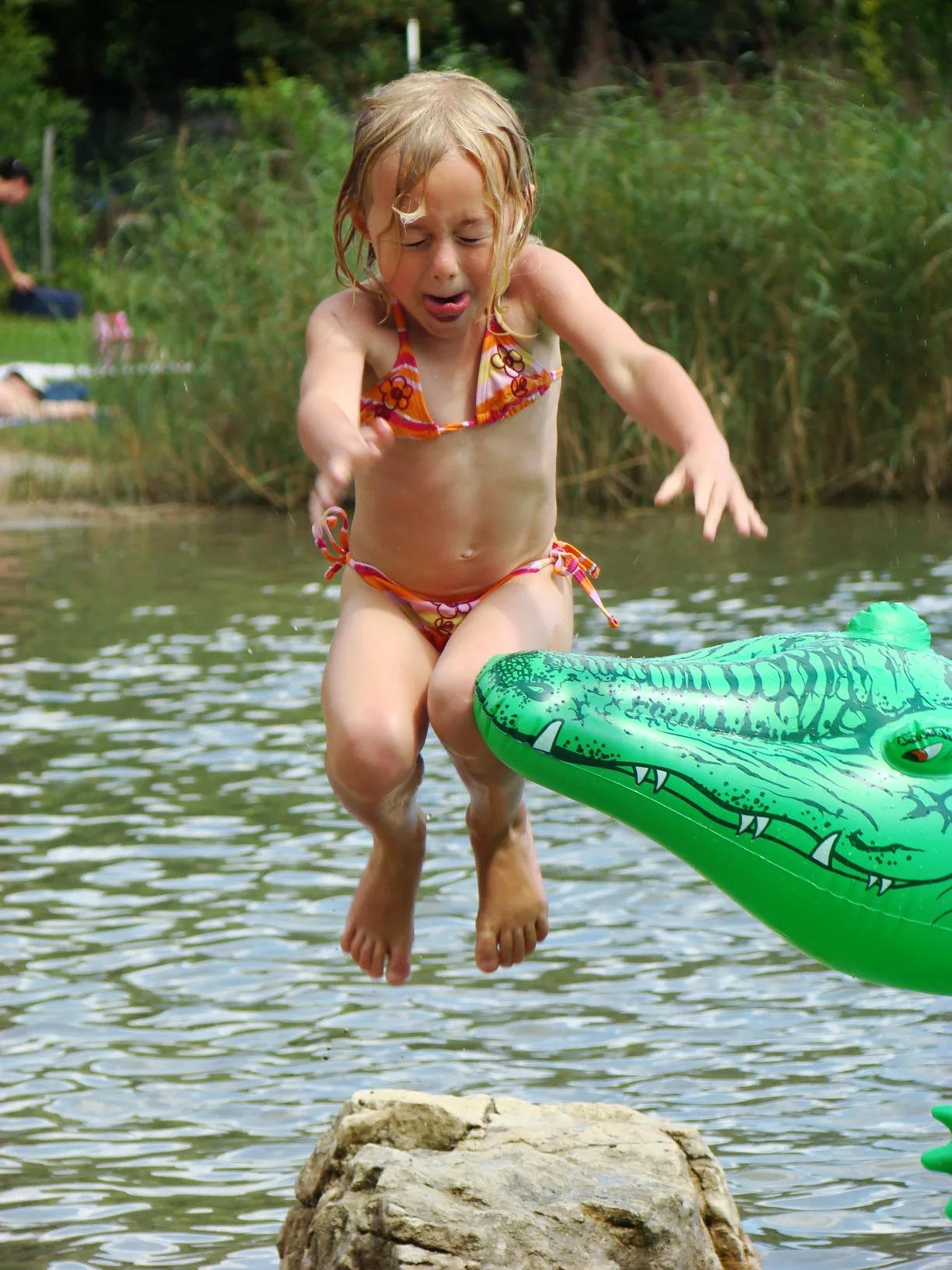 Annecy-Genève-Geneve-Lyon-Bugey-Bugeysud-Ain-France-gites-gite-gîtes-gîte-les gites de sarah et Claude-pet-pet friendly-dog-cat-zen-nature-guest house-vacances-vacance-grand colombier-Le grand colombier-lesgitesdesarahetclaude
