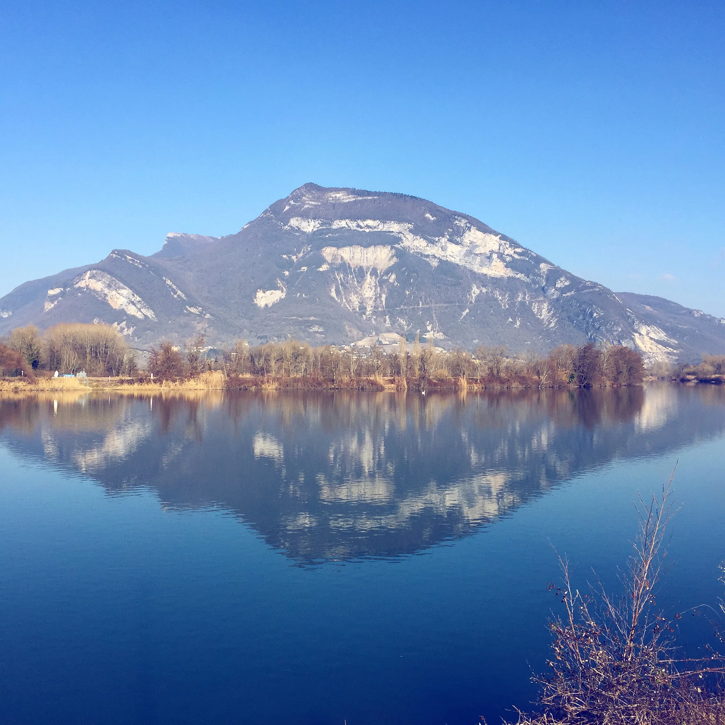 Annecy-Genève-Geneve-Lyon-Bugey-Bugeysud-Ain-France-gites-gite-gîtes-gîte-les gites de sarah et Claude-pet-pet friendly-dog-cat-zen-nature-guest house-vacances-vacance-grand colombier-Le grand colombier-lesgitesdesarahetclaude