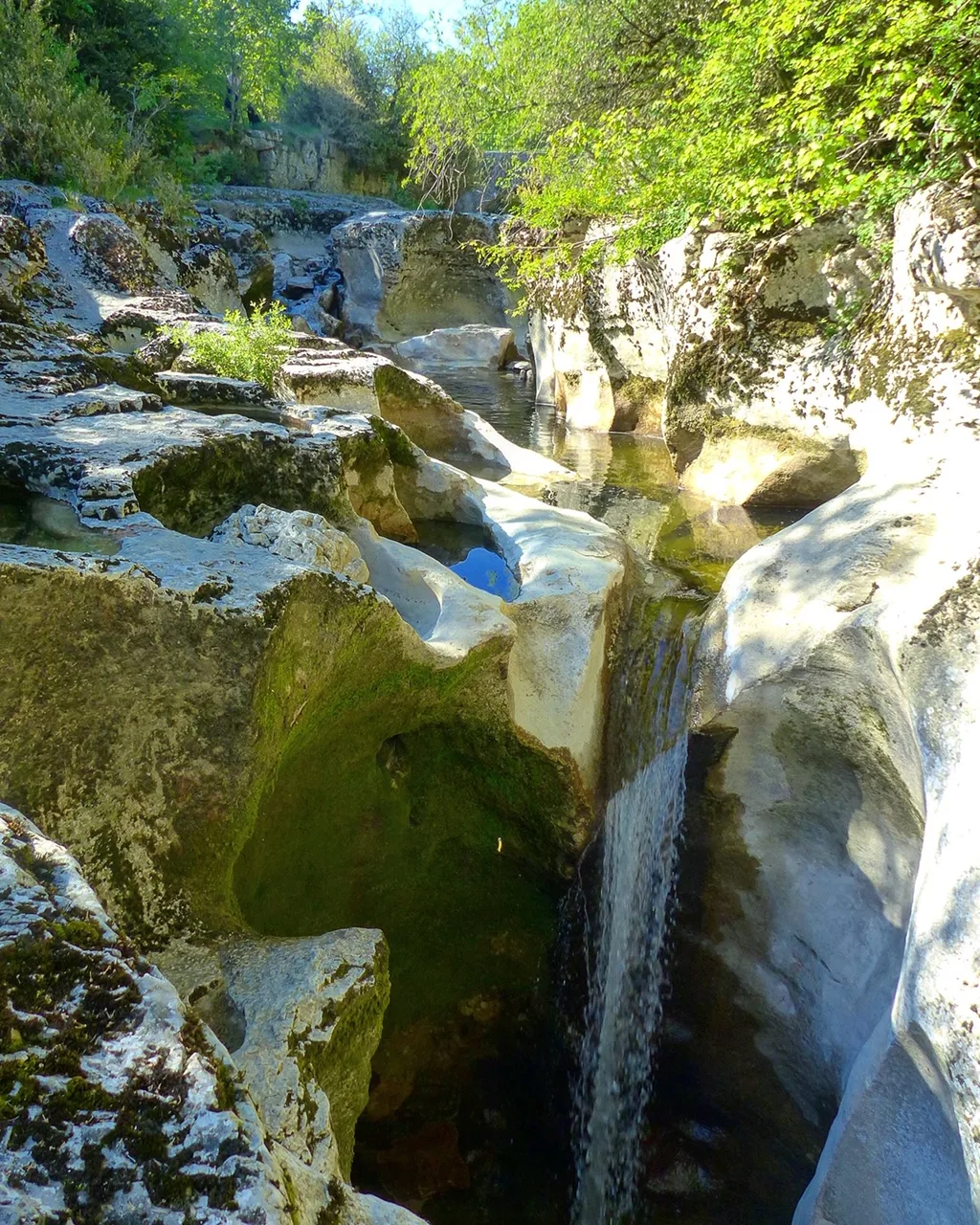 Annecy-Genève-Geneve-Lyon-Bugey-Bugeysud-Ain-France-gites-gite-gîtes-gîte-les gites de sarah et Claude-pet-pet friendly-dog-cat-zen-nature-guest house-vacances-vacance-grand colombier-Le grand colombier-lesgitesdesarahetclaude