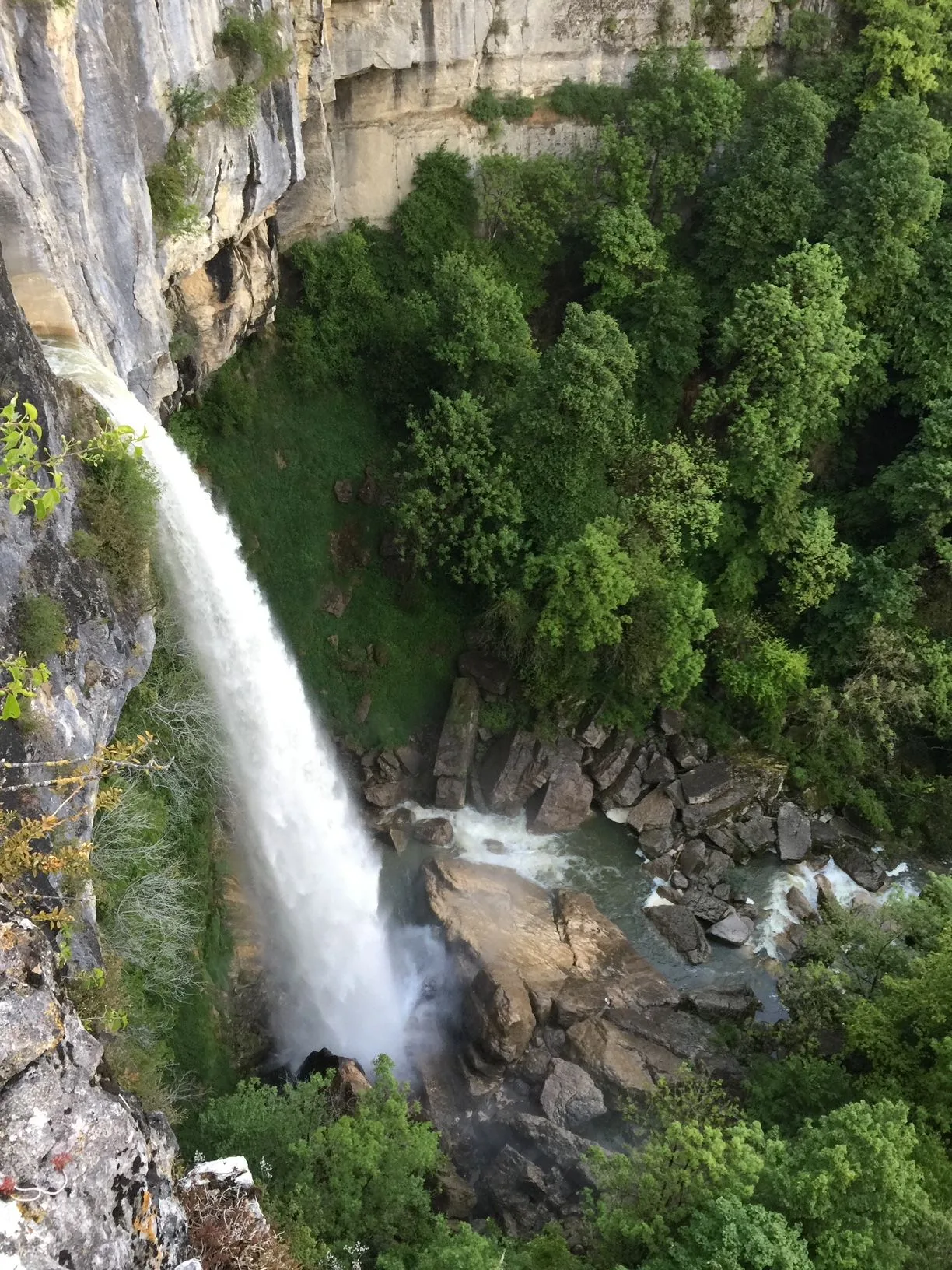 Annecy-Genève-Geneve-Lyon-Bugey-Bugeysud-Ain-France-gites-gite-gîtes-gîte-les gites de sarah et Claude-pet-pet friendly-dog-cat-zen-nature-guest house-vacances-vacance-grand colombier-Le grand colombier-lesgitesdesarahetclaude