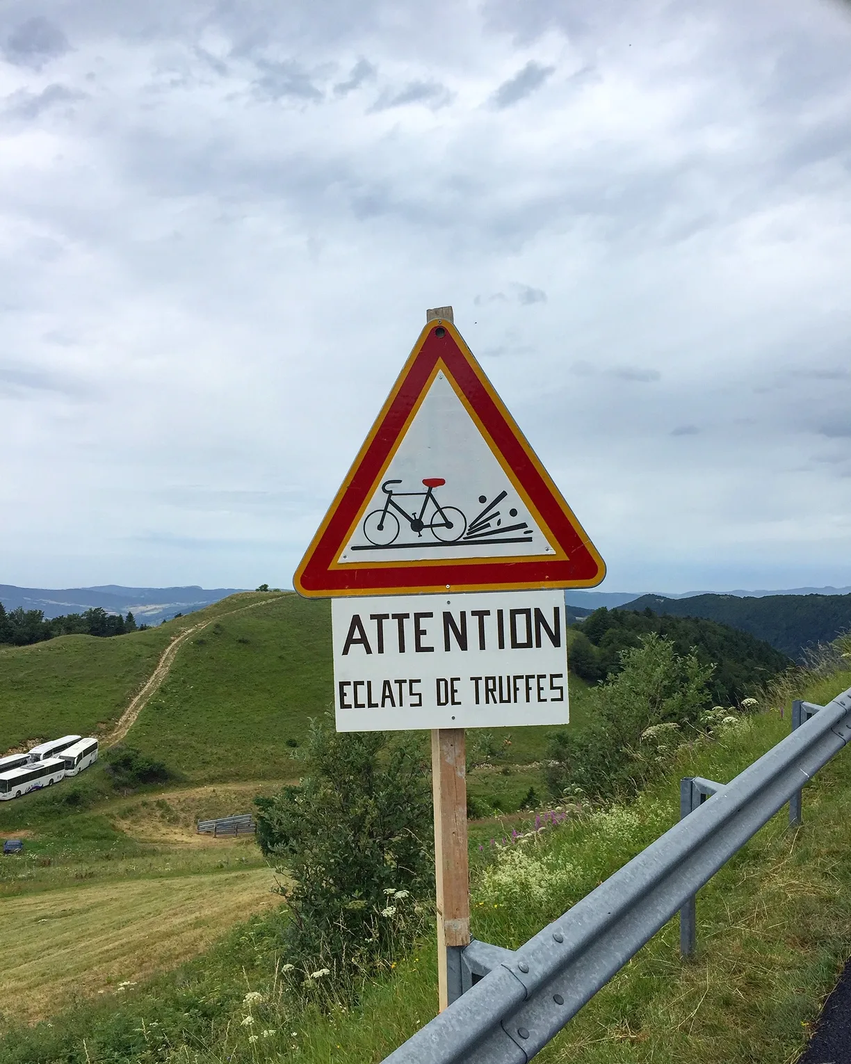 Annecy-Genève-Geneve-Lyon-Bugey-Bugeysud-Ain-France-gites-gite-gîtes-gîte-les gites de sarah et Claude-pet-pet friendly-dog-cat-zen-nature-guest house-vacances-vacance-grand colombier-Le grand colombier-lesgitesdesarahetclaude