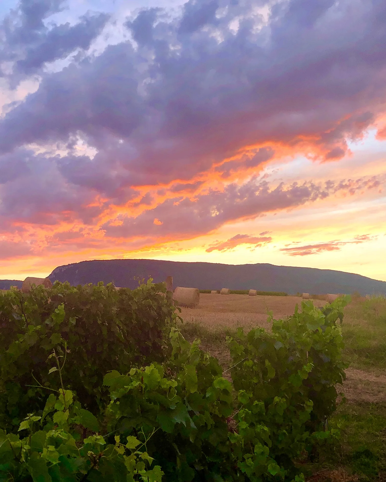 les gites de sarah et claude - gite - ain -bugey