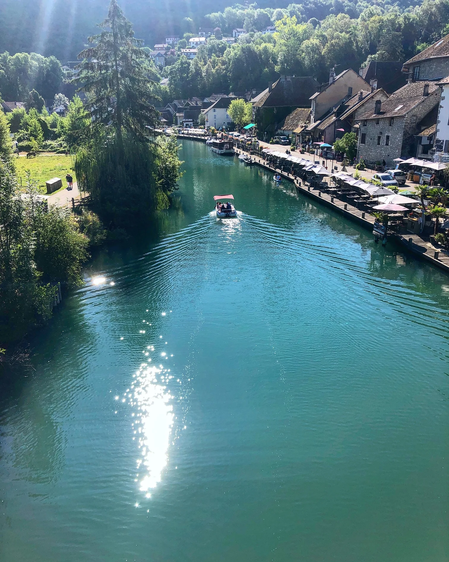 Annecy-Genève-Geneve-Lyon-Bugey-Bugeysud-Ain-France-gites-gite-gîtes-gîte-les gites de sarah et Claude-pet-pet friendly-dog-cat-zen-nature-guest house-vacances-vacance-grand colombier-Le grand colombier-lesgitesdesarahetclaude