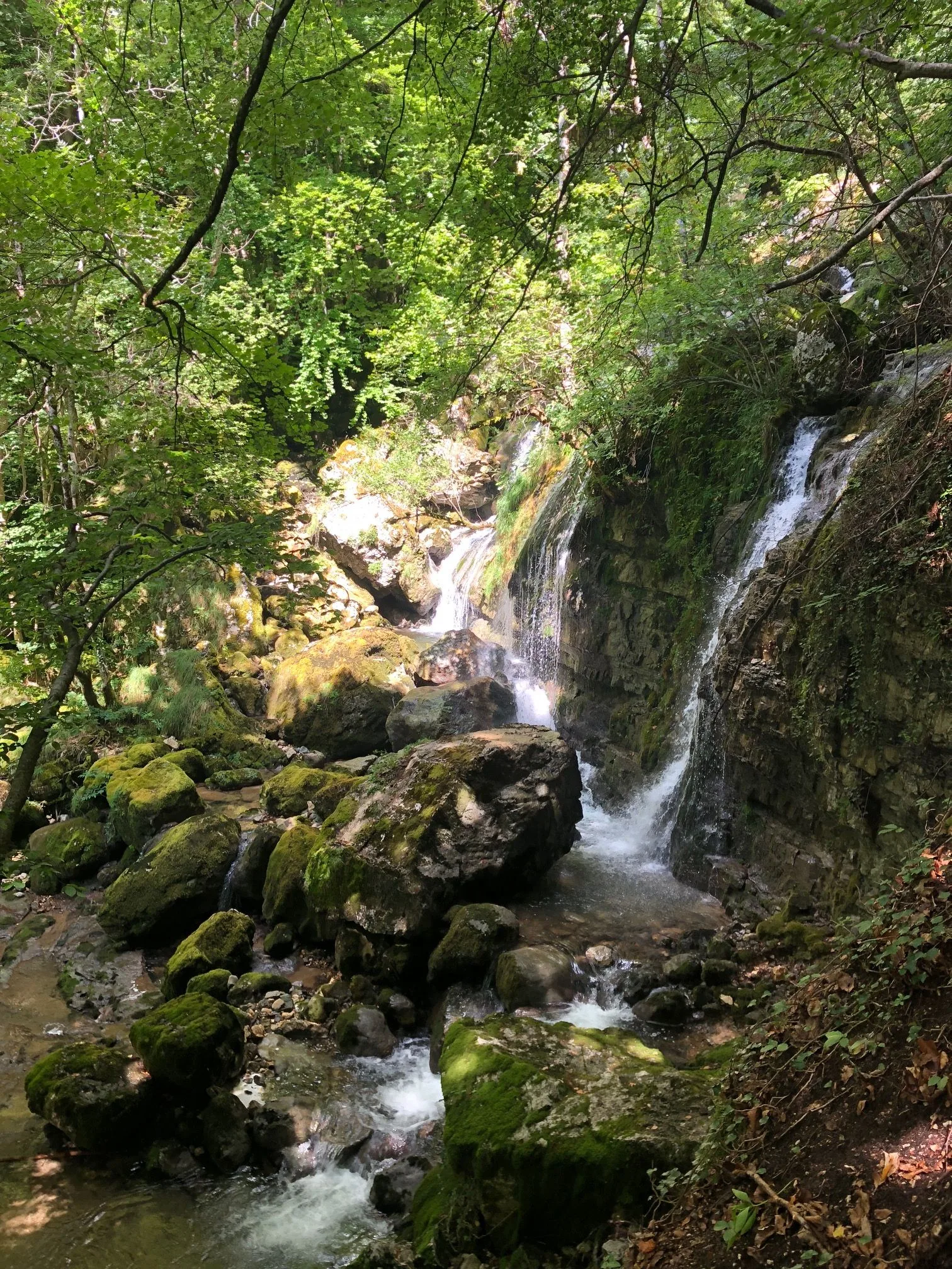 les gites de sarah et claude - gite - ain -bugey