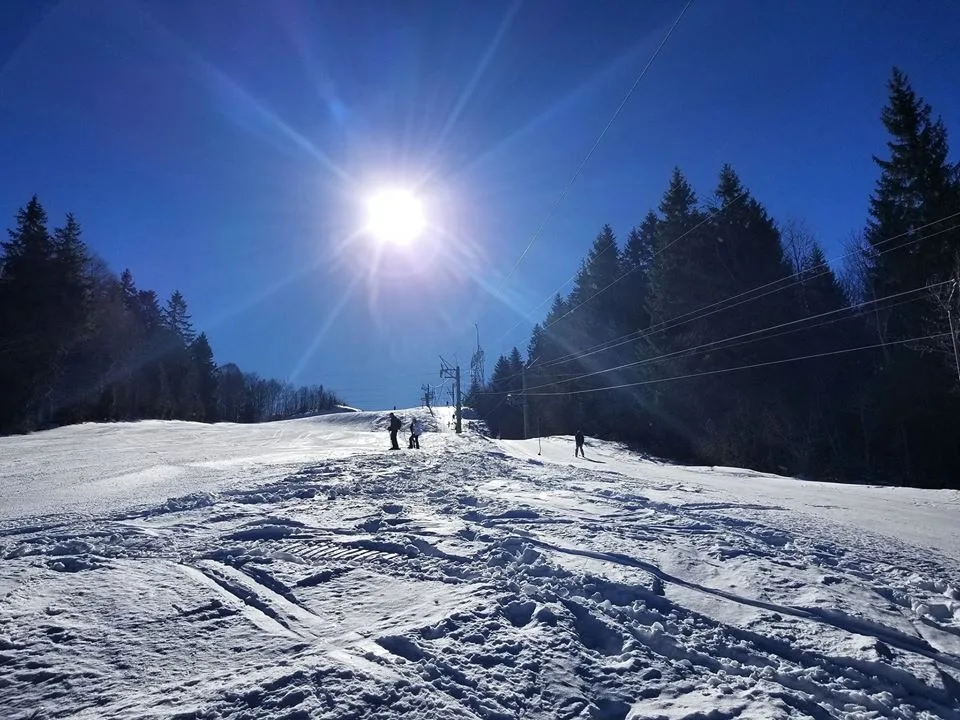 Annecy-Genève-Geneve-Lyon-Bugey-Bugeysud-Ain-France-gites-gite-gîtes-gîte-les gites de sarah et Claude-pet-pet friendly-dog-cat-zen-nature-guest house-vacances-vacance-grand colombier-Le grand colombier-lesgitesdesarahetclaude