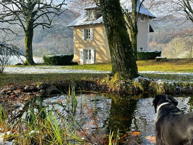 Annecy-Genève-Geneve-Lyon-Bugey-Bugeysud-Ain-France-gites-gite-gîtes-gîte-les gites de sarah et Claude-pet-pet friendly-dog-cat-zen-nature-guest house-vacances-vacance-grand colombier-Le grand colombier-lesgitesdesarahetclaude