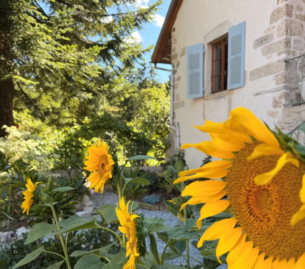 La maison aux tournesols