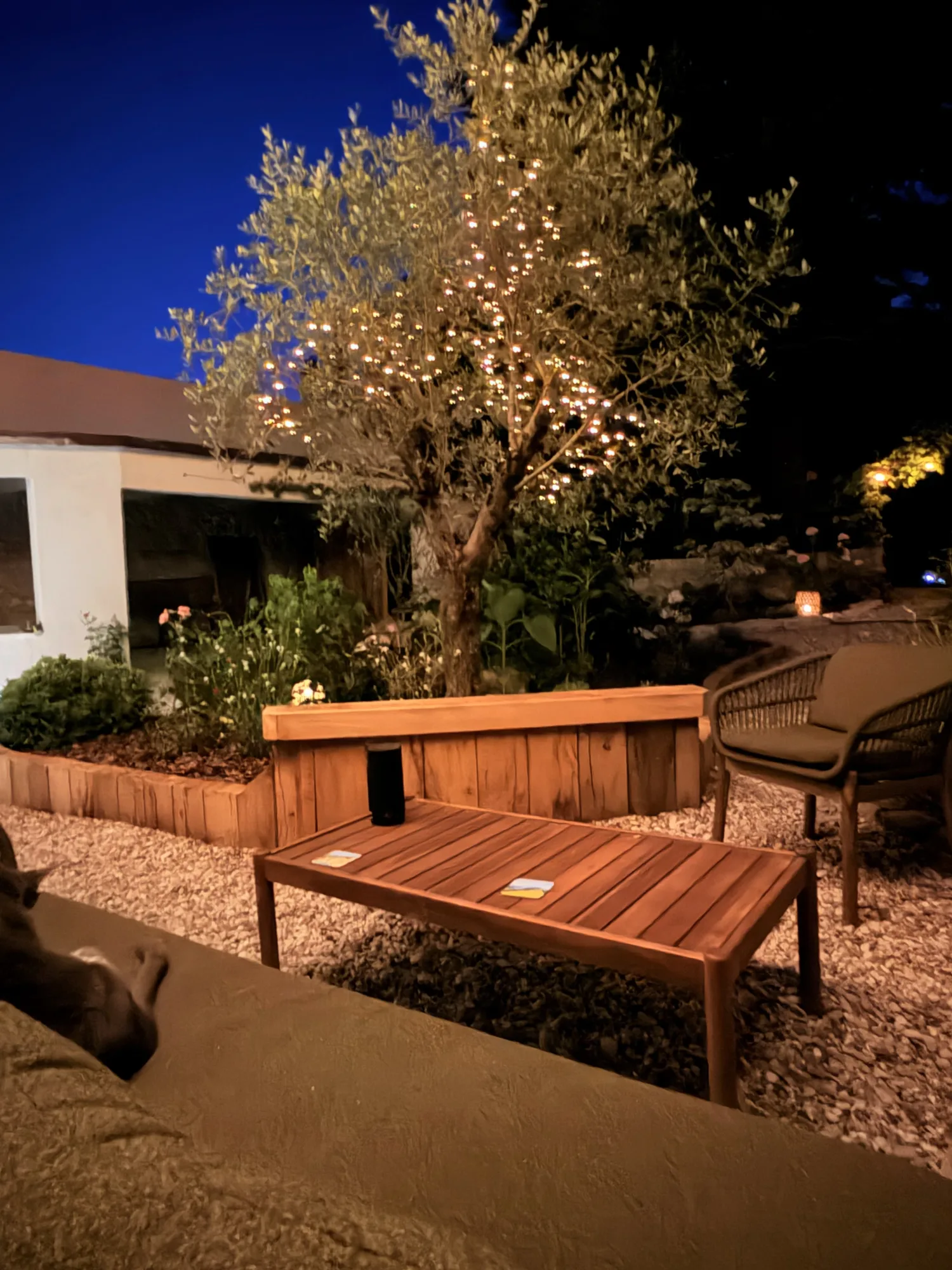 Le jardin de la Maison d'Astrée illuminé en soirée