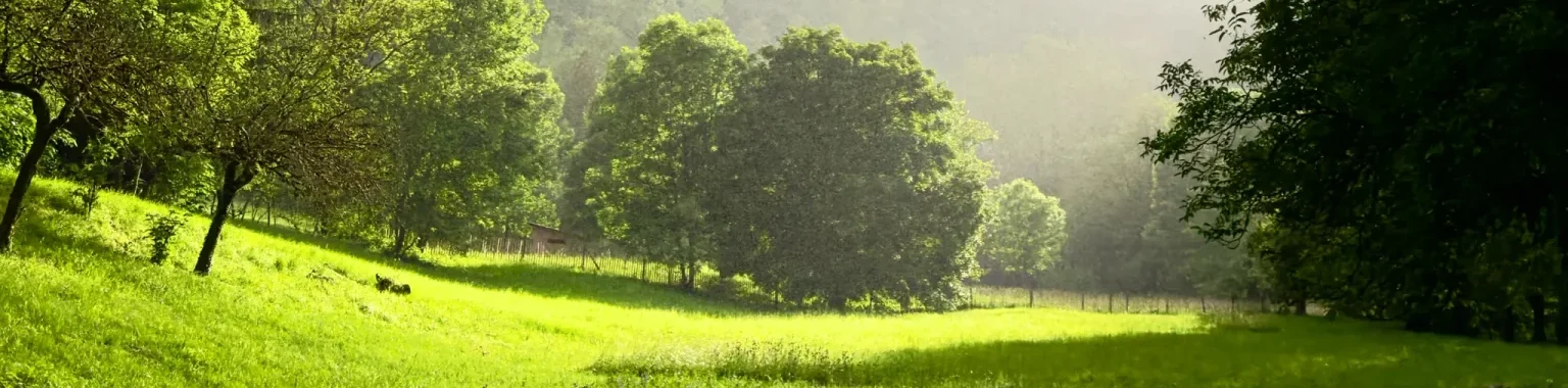 evt-vallee-bugey